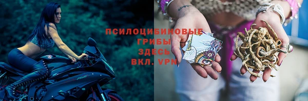 гашик Алексеевка