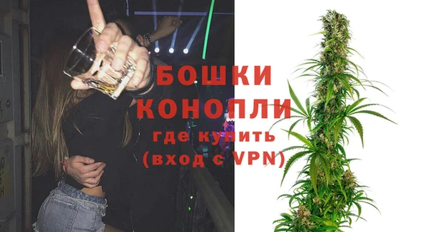 гашик Алексеевка