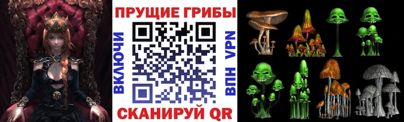 купить  цена  блэк спрут сайт  Псилоцибиновые грибы прущие грибы  Судогда 